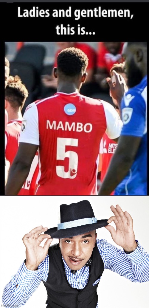 A little bit of Tina | image tagged in lou bega,mambo,mambo number five,bad pun | made w/ Imgflip meme maker