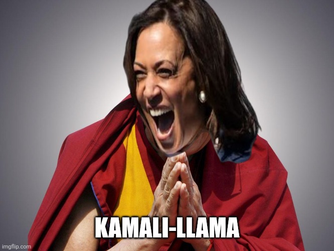 Oracle of blindness | KAMALI-LLAMA | image tagged in dali llama | made w/ Imgflip meme maker