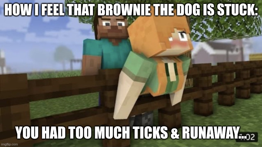 bruh why i accidently posted this image | HOW I FEEL THAT BROWNIE THE DOG IS STUCK:; YOU HAD TOO MUCH TICKS & RUNAWAY... | image tagged in steve you gotta help me | made w/ Imgflip meme maker