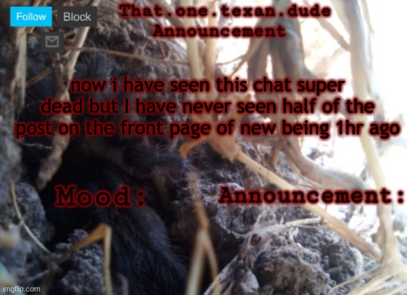 THE that.one.texan.dude announcement template | now i have seen this chat super dead but I have never seen half of the post on the front page of new being 1hr ago | image tagged in the that one texan dude announcement template | made w/ Imgflip meme maker