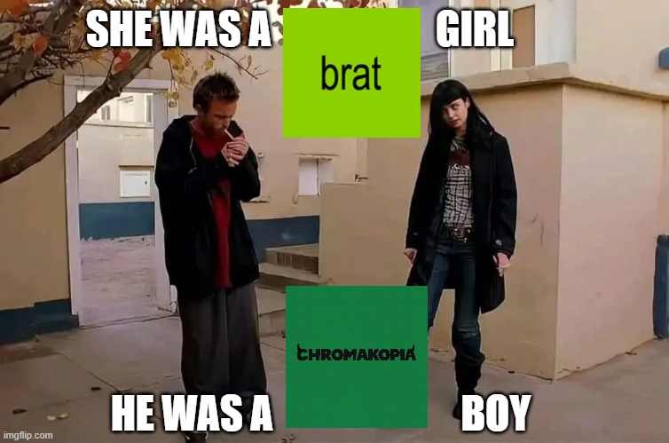 He was a boy, she was a girl | SHE WAS A                     GIRL; HE WAS A                        BOY | image tagged in he was a boy she was a girl | made w/ Imgflip meme maker