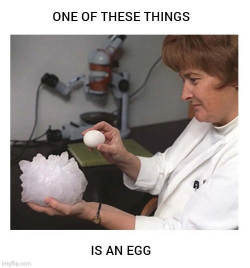 One of these things is an egg | image tagged in egg | made w/ Imgflip meme maker