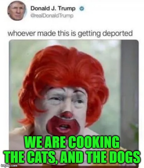 We are cooking the cats! | WE ARE COOKING THE CATS, AND THE DOGS | image tagged in mcdonalds,trump,cats,dogs,maga,make america great again | made w/ Imgflip meme maker