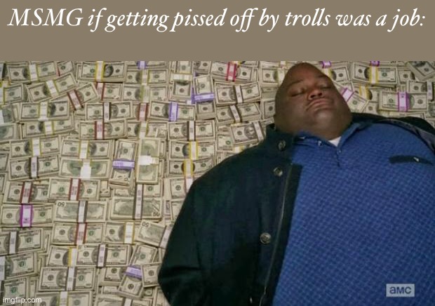 huell money | MSMG if getting pissed off by trolls was a job: | image tagged in huell money | made w/ Imgflip meme maker