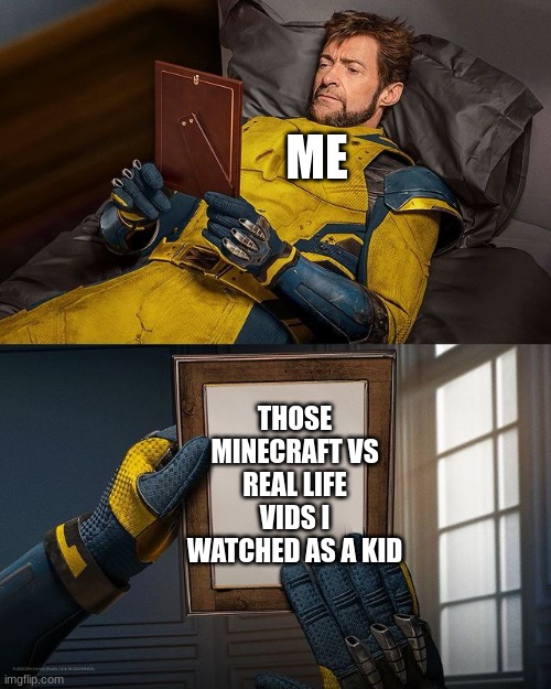 those times... | ME; THOSE MINECRAFT VS REAL LIFE VIDS I WATCHED AS A KID | image tagged in new wolverine remember | made w/ Imgflip meme maker