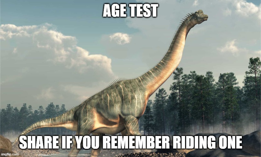 I do | AGE TEST; SHARE IF YOU REMEMBER RIDING ONE | image tagged in brachiosaurus,age test | made w/ Imgflip meme maker