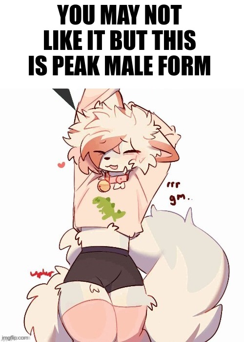 YOU MAY NOT LIKE IT BUT THIS IS PEAK MALE FORM | made w/ Imgflip meme maker