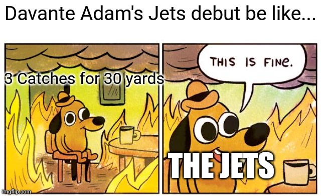 This Is Fine | Davante Adam's Jets debut be like... 3 Catches for 30 yards; THE JETS | image tagged in memes,this is fine | made w/ Imgflip meme maker