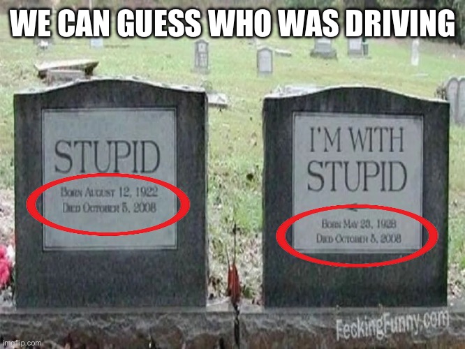 Husband and wife duo, no doubt! | WE CAN GUESS WHO WAS DRIVING | image tagged in head stone,stupid,i am with stupid | made w/ Imgflip meme maker