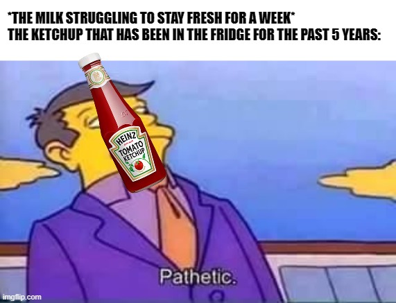 Can't think of a clever title | *THE MILK STRUGGLING TO STAY FRESH FOR A WEEK*
THE KETCHUP THAT HAS BEEN IN THE FRIDGE FOR THE PAST 5 YEARS: | image tagged in skinner pathetic,memes,ketchup | made w/ Imgflip meme maker