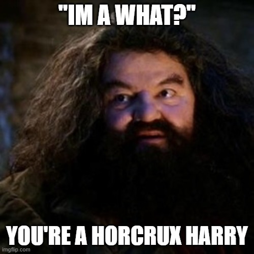 You're a wizard harry | "IM A WHAT?"; YOU'RE A HORCRUX HARRY | image tagged in you're a wizard harry | made w/ Imgflip meme maker