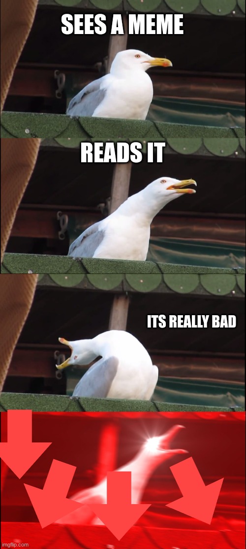 Inhaling Seagull | SEES A MEME; READS IT; ITS REALLY BAD | image tagged in memes,inhaling seagull | made w/ Imgflip meme maker