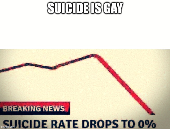 SUICIDE RATE DROPS TO 0% | SUICIDE IS GAY | image tagged in suicide rate drops to 0 | made w/ Imgflip meme maker