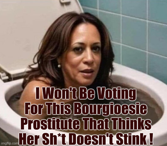 Kamala = boor ZHWAH zee | I Won't Be Voting For This Bourgioesie Prostitute That Thinks Her Sh*t Doesn't Stink ! | image tagged in kamala harris poop in toilet,political meme,politics,funny memes,funny | made w/ Imgflip meme maker