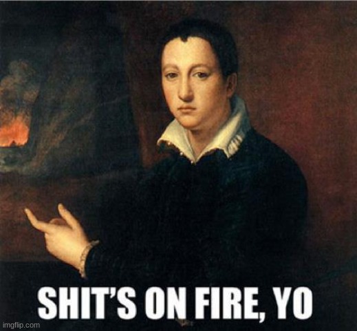 Shits on fire, yo | image tagged in shits on fire yo | made w/ Imgflip meme maker