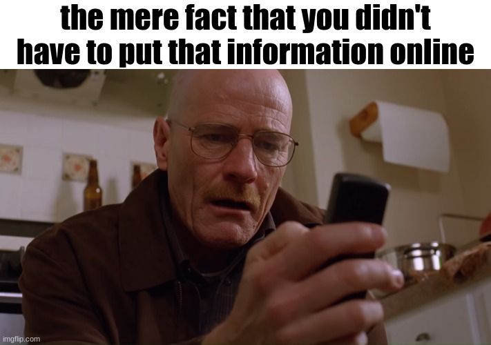 Walter White on his Phone | the mere fact that you didn't have to put that information online | image tagged in walter white on his phone | made w/ Imgflip meme maker