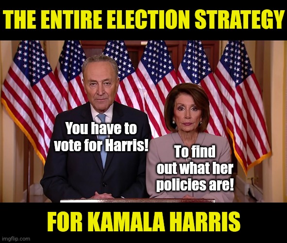 Kamala Harris's entire election strategy is based on an LOL Surprise doll now? | THE ENTIRE ELECTION STRATEGY; You have to vote for Harris! To find out what her policies are! FOR KAMALA HARRIS | image tagged in pelosi and schumer,kamala harris,lying,biased media,liberal hypocrisy,democratic party | made w/ Imgflip meme maker