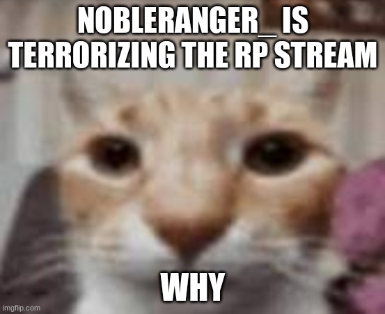 :| | NOBLERANGER_ IS TERRORIZING THE RP STREAM; WHY | made w/ Imgflip meme maker