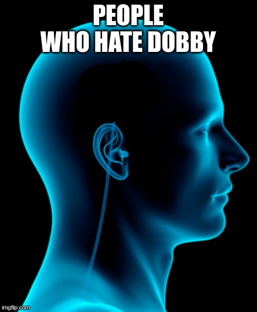 No brain | PEOPLE WHO HATE DOBBY | image tagged in no brain | made w/ Imgflip meme maker