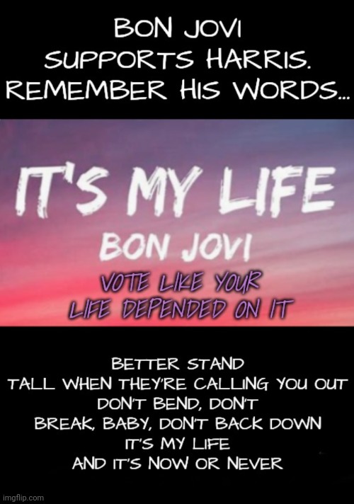 It's My Life | image tagged in bon jovi,dnc,msnbc,voting | made w/ Imgflip meme maker