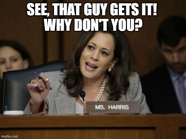 Kamala Harris | SEE, THAT GUY GETS IT! 
WHY DON'T YOU? | image tagged in kamala harris | made w/ Imgflip meme maker