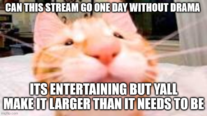 its not a huge deal put the tits away | CAN THIS STREAM GO ONE DAY WITHOUT DRAMA; ITS ENTERTAINING BUT YALL MAKE IT LARGER THAN IT NEEDS TO BE | made w/ Imgflip meme maker