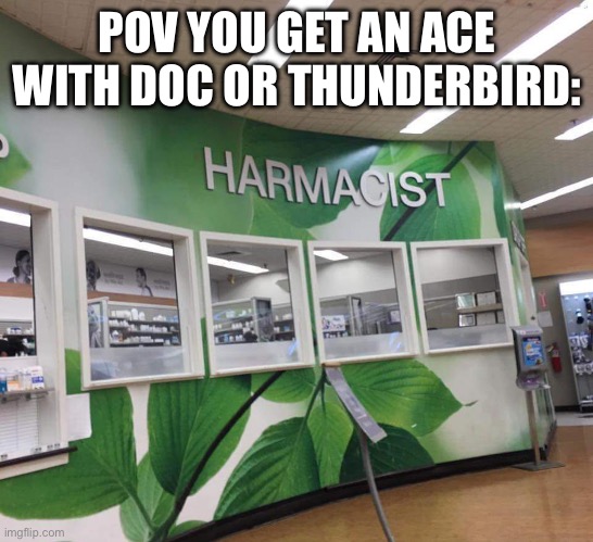 Harmacist | POV YOU GET AN ACE WITH DOC OR THUNDERBIRD: | image tagged in rainbow six siege | made w/ Imgflip meme maker