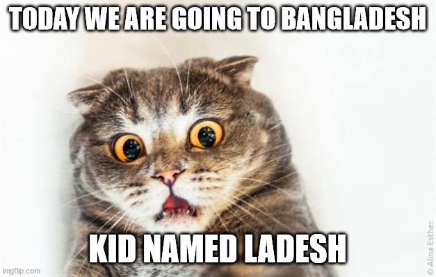 horrified cat | TODAY WE ARE GOING TO BANGLADESH; KID NAMED LADESH | image tagged in horrified cat | made w/ Imgflip meme maker