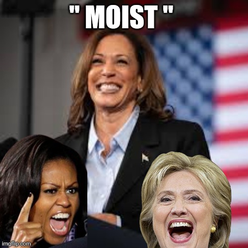 moist memes | " MOIST " | image tagged in moist | made w/ Imgflip meme maker