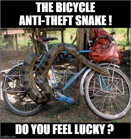 Don't Touch My Bike ! | THE BICYCLE ANTI-THEFT SNAKE ! DO YOU FEEL LUCKY ? | image tagged in bicycle,theft,snake,do you feel lucky | made w/ Imgflip meme maker