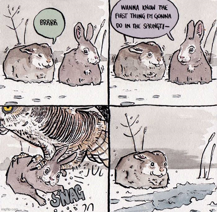 Gone bunny | image tagged in dark | made w/ Imgflip meme maker