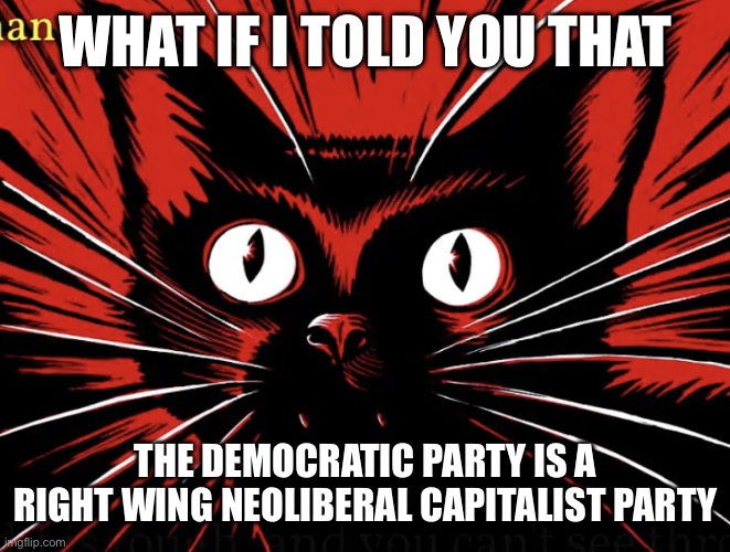 Democrats are right wing | WHAT IF I TOLD YOU THAT; THE DEMOCRATIC PARTY IS A RIGHT WING NEOLIBERAL CAPITALIST PARTY | image tagged in sabo tabby,right wing,democratic party,democrats | made w/ Imgflip meme maker