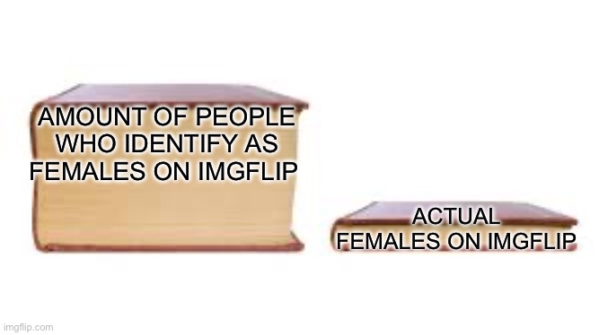 There’s like five women here | AMOUNT OF PEOPLE WHO IDENTIFY AS FEMALES ON IMGFLIP; ACTUAL FEMALES ON IMGFLIP | image tagged in big book small book | made w/ Imgflip meme maker