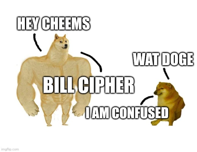 A silly cheems meme | HEY CHEEMS; WAT DOGE; BILL CIPHER; I AM CONFUSED | image tagged in doggo and cheems,cheems | made w/ Imgflip meme maker