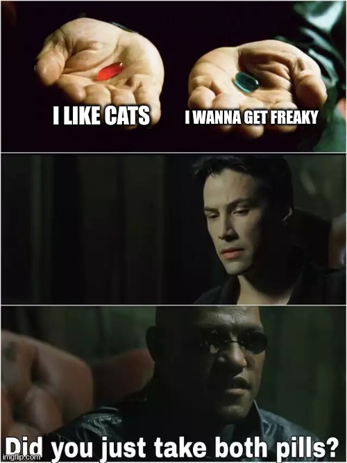 Did you just take both pills? | I LIKE CATS I WANNA GET FREAKY | image tagged in did you just take both pills | made w/ Imgflip meme maker