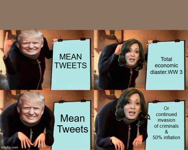 I'll vote MEAN TWEETS | MEAN TWEETS; Total economic diaster.WW 3; Or continued invasion of criminals & 50% inflation; Mean Tweets | image tagged in memes,gru's plan | made w/ Imgflip meme maker