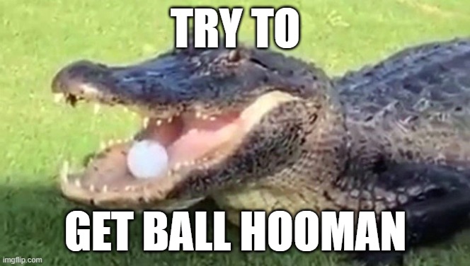 try. I double triple dare you. | TRY TO; GET BALL HOOMAN | image tagged in certified bruh moment | made w/ Imgflip meme maker