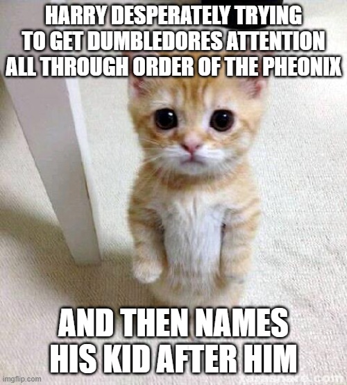 Cute Cat | HARRY DESPERATELY TRYING TO GET DUMBLEDORES ATTENTION ALL THROUGH ORDER OF THE PHEONIX; AND THEN NAMES HIS KID AFTER HIM | image tagged in memes,cute cat | made w/ Imgflip meme maker