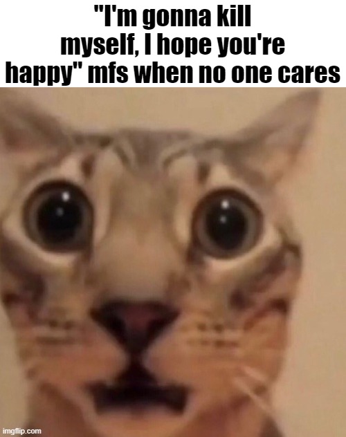 Flabbergasted cat | "I'm gonna kill myself, I hope you're happy" mfs when no one cares | image tagged in flabbergasted cat | made w/ Imgflip meme maker