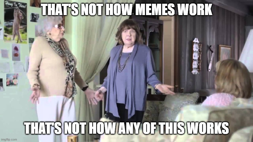 That's not how this works | THAT'S NOT HOW MEMES WORK THAT'S NOT HOW ANY OF THIS WORKS | image tagged in that's not how this works | made w/ Imgflip meme maker