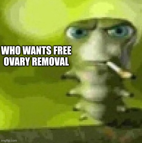 hello I am ovary snacker 43 | WHO WANTS FREE OVARY REMOVAL | image tagged in this pic goes hard feel free to screenshot | made w/ Imgflip meme maker