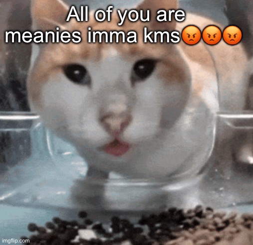 Mr Shock stare | All of you are meanies imma kms😡😡😡 | image tagged in mr shock stare | made w/ Imgflip meme maker