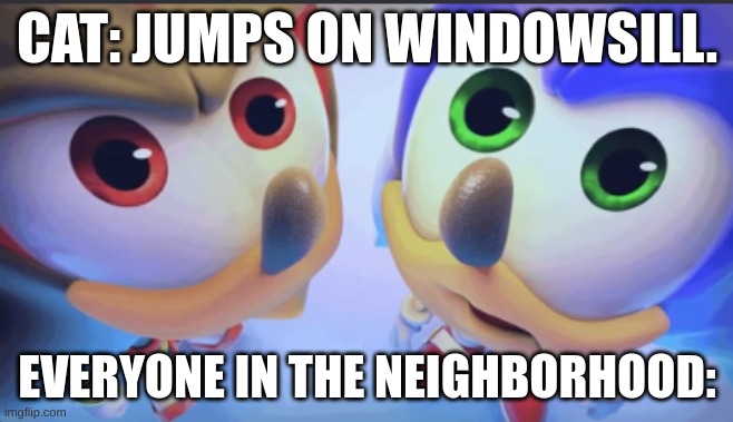 The cat | CAT: JUMPS ON WINDOWSILL. EVERYONE IN THE NEIGHBORHOOD: | image tagged in shadow and sonic staring at you | made w/ Imgflip meme maker