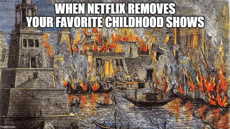 WHYYYYYYYYYYYYYYYYYYYYYYYYYYYY! | WHEN NETFLIX REMOVES YOUR FAVORITE CHILDHOOD SHOWS | image tagged in library of alexandria burning,netflix | made w/ Imgflip meme maker