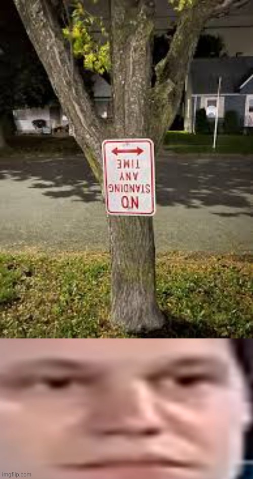 Upside down sign on tree | image tagged in wide stare,upside down,sign,tree,you had one job,memes | made w/ Imgflip meme maker