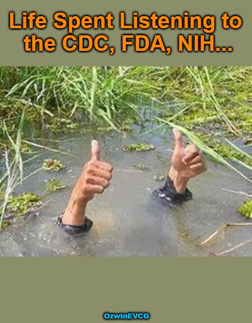 Scientism, Incorporated | Life Spent Listening to 

the CDC, FDA, NIH... OzwinEVCG | image tagged in trust the science,trust the scientism,big gov,government corruption,corporate capture,slow learners | made w/ Imgflip meme maker