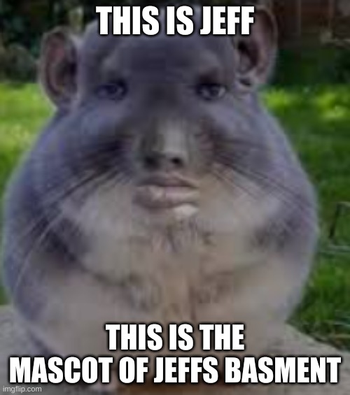 cool thing | THIS IS JEFF; THIS IS THE MASCOT OF JEFFS BASMENT | image tagged in cool thing | made w/ Imgflip meme maker