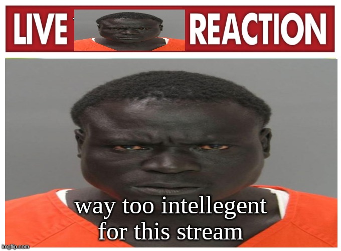 live convict reaction | way too intellegent for this stream | image tagged in live convict reaction | made w/ Imgflip meme maker