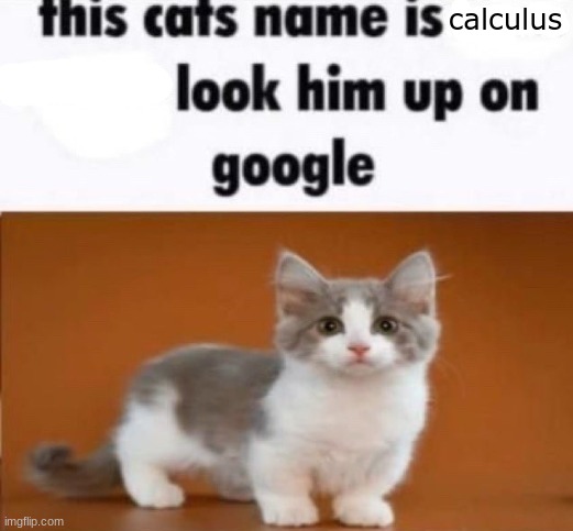 this cats name is x look him up on google | calculus | image tagged in this cats name is x look him up on google | made w/ Imgflip meme maker