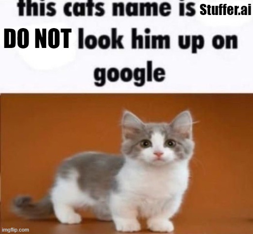 this cats name is x look him up on google | Stuffer.ai; DO NOT | image tagged in this cats name is x look him up on google | made w/ Imgflip meme maker